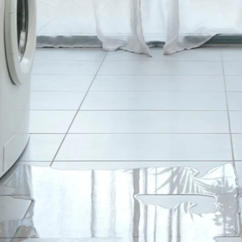 Appliance Leak Cleanup in Rockville, MN