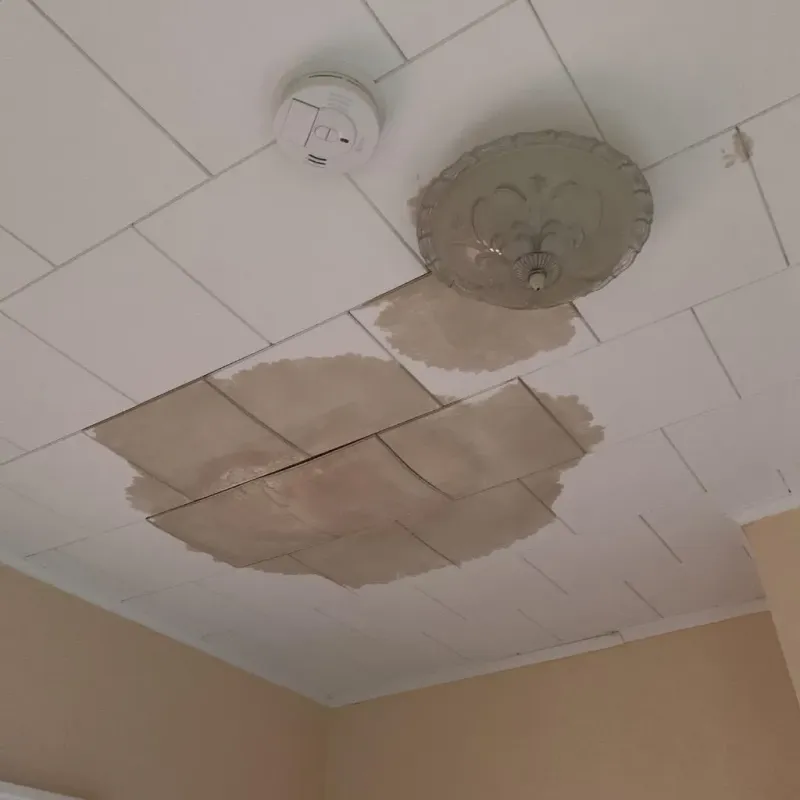 Ceiling Water Damage Repair in Rockville, MN