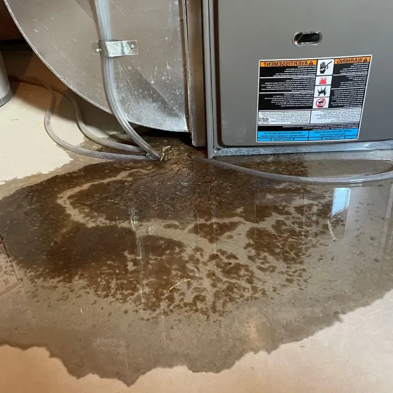 Pipe Burst and Leak Restoration in Rockville, MN