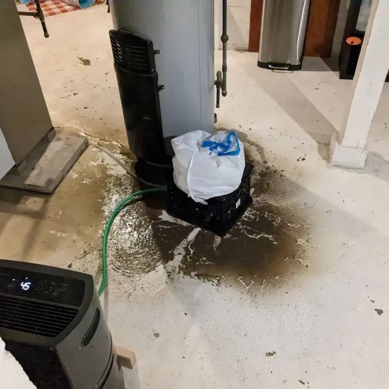 Sewage Backup Cleanup Service in Rockville, MN
